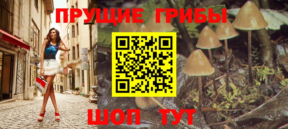 Псилоцибиновые грибы мицелий  купить  сайты  Рязань  Вход с VPN  Галлюциногенные грибы MAGIC MUSHROOMS 